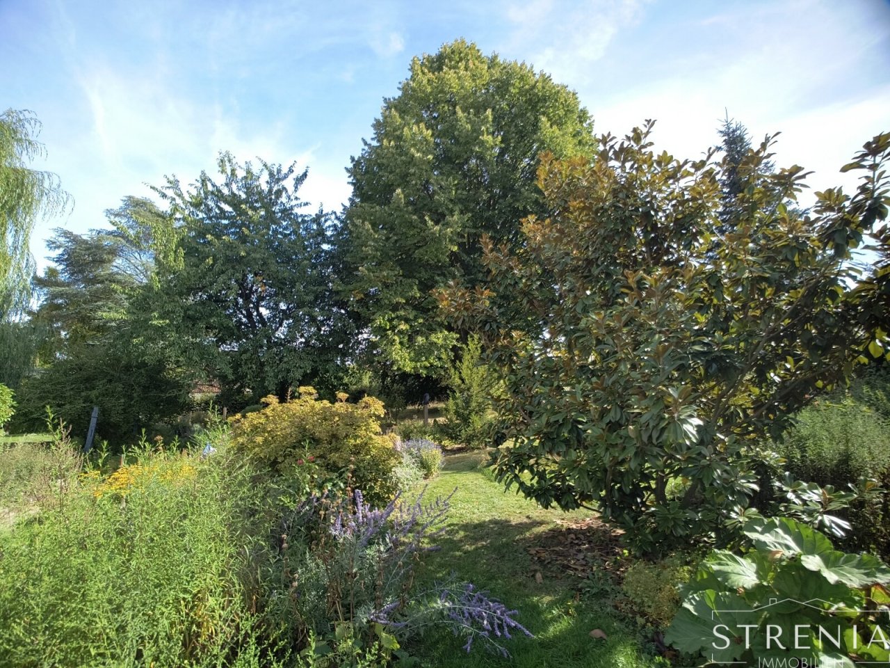 Garten Garten